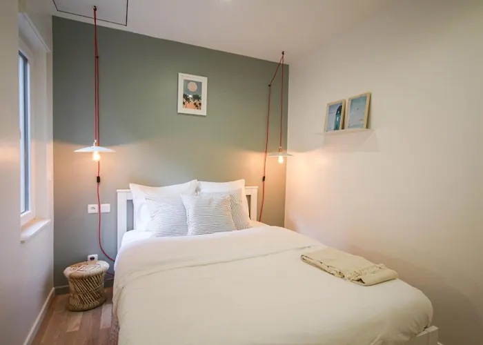 Centre - Nice, Cozy And Functional Ap. Appartement